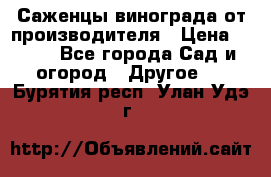 Саженцы винограда от производителя › Цена ­ 800 - Все города Сад и огород » Другое   . Бурятия респ.,Улан-Удэ г.